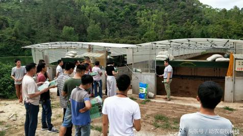 快速解决你养殖场的环保问题,低成本养殖场粪便处理