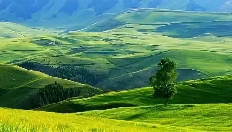 新疆哈密风景最美的地方,新疆哈密值得去的景点排名第一