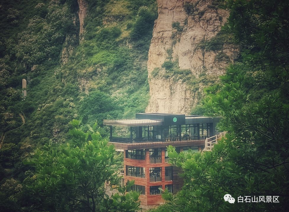 白石山十一特惠门票,白石山免费咖啡攻略