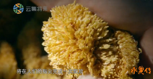 豆瓣8.9高分,豆瓣8.9评分经典