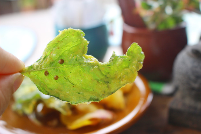 巴厘岛怎么玩省钱又舒服,巴厘岛攻略自由行详细