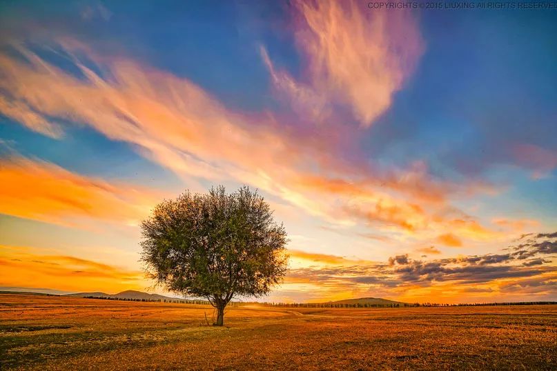 呼伦贝尔大草原一生的向往,呼伦贝尔一年四季都是美景