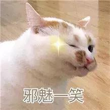 小众国货眼影品牌imagic测评,眼影盘推荐平价国货missrose