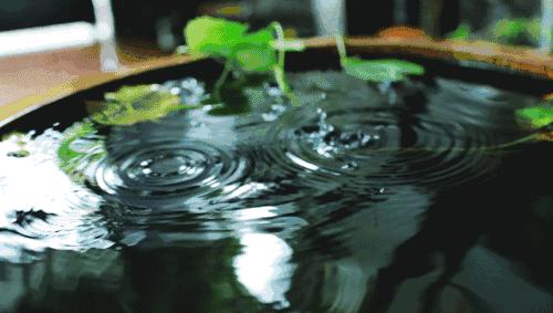 有关雨的唯美的诗词,那些关于雨的唯美诗句