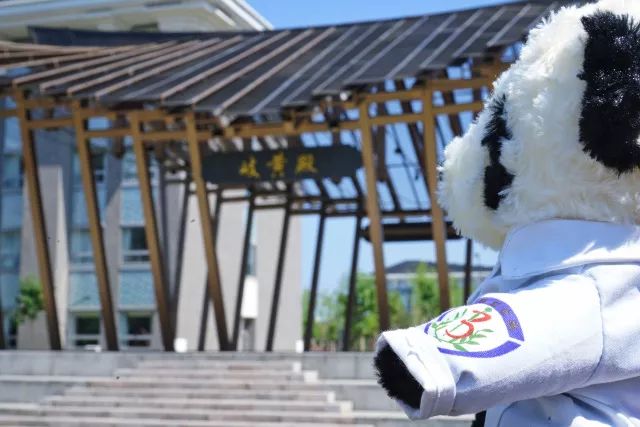 在中医诊所要做什么,在北中医读研的体验