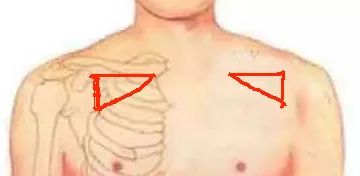 人体八大黄金穴,人体九大系统对应的器官