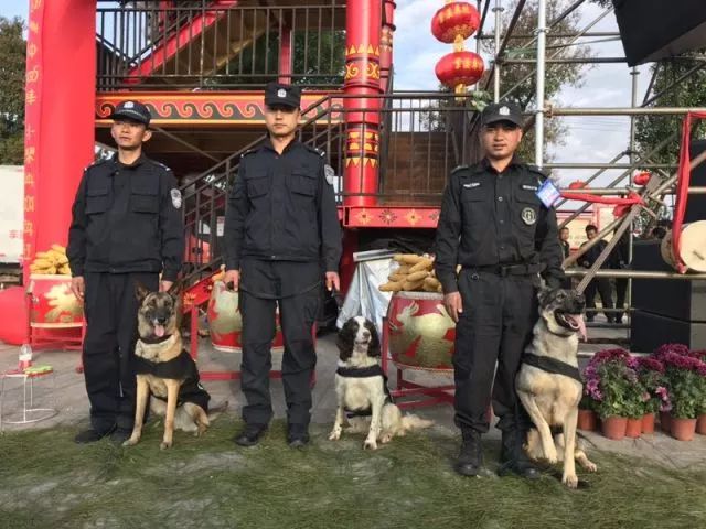 世界杯警察冷知识,交警看世界杯