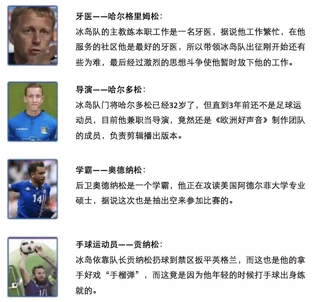 冰岛队的晋级之路,冰岛队球员是职业球员吗