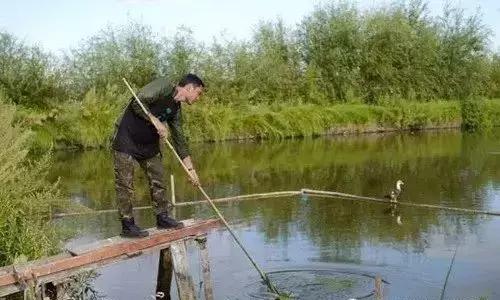 一个辍学生在大理租下23个足球场大的地方，种菜、养牛、建农场