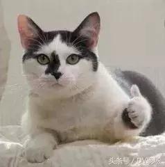 奶奶给的20年前嫁妆老物件,嫁妆老物件100种