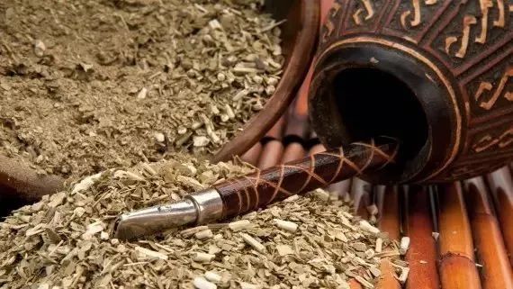 世界杯决赛潘帕斯雄鹰高卢,世界杯潘帕斯进球