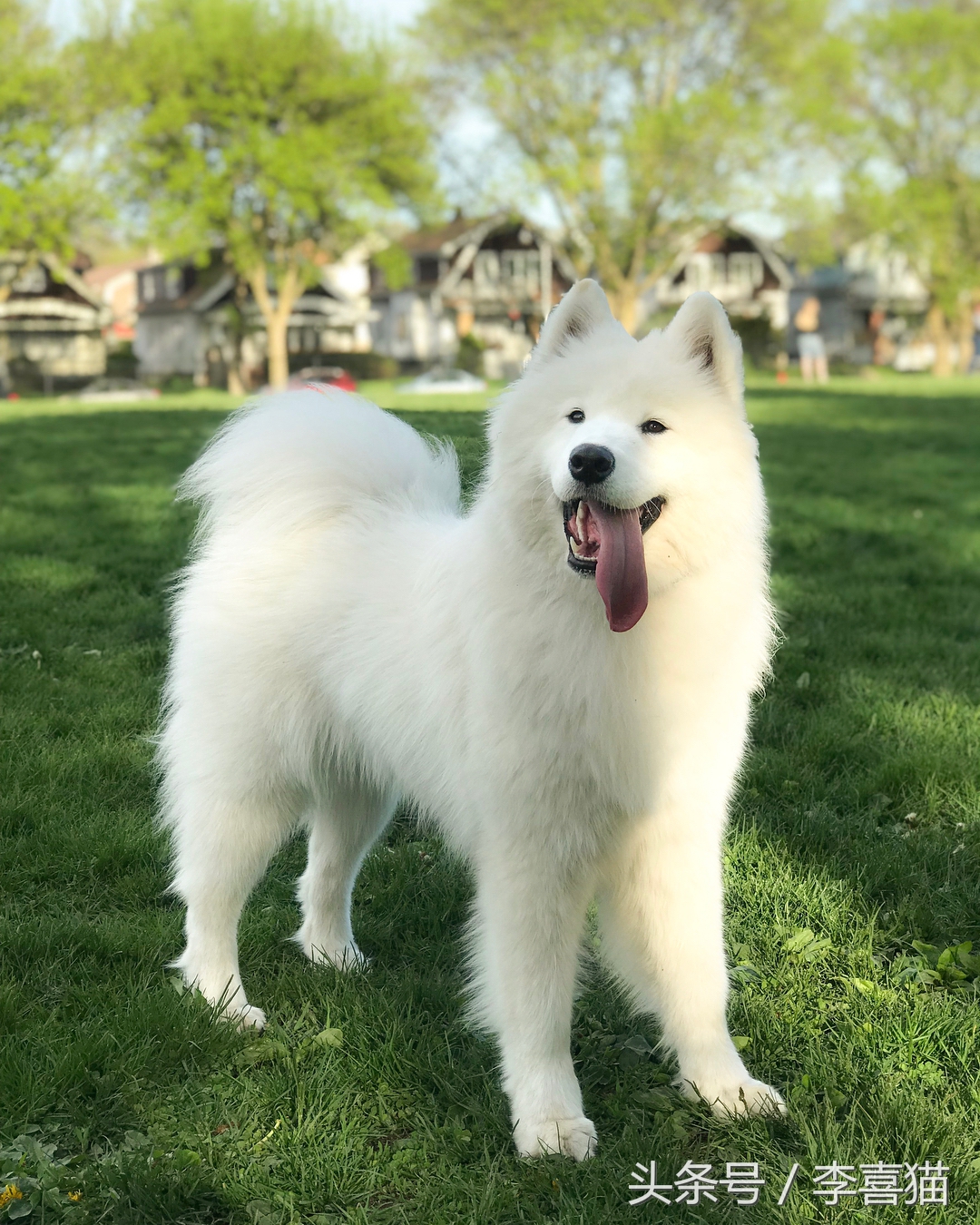 明明可以靠颜值吃饭却偏偏靠力气,明明可以靠颜值吃饭偏偏靠嘴巴