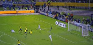 不容错过精彩集锦,不容错过的精彩欣赏