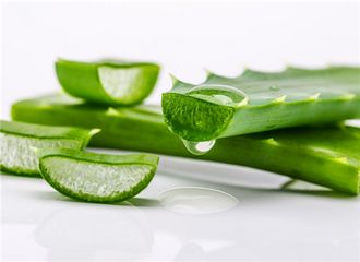 被蚊子咬了怎么止痒消肿用什么药,蚊子咬完红肿硬很大怎么样能止痒