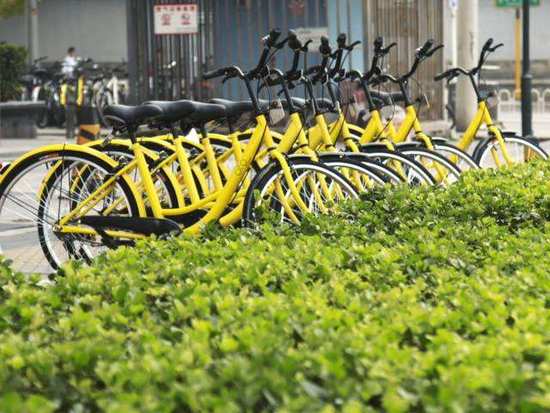 ofo推免押金服务,ofo免押金是真的吗