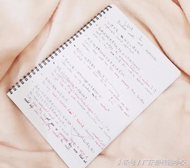 欧洲“传骑”开箱记！