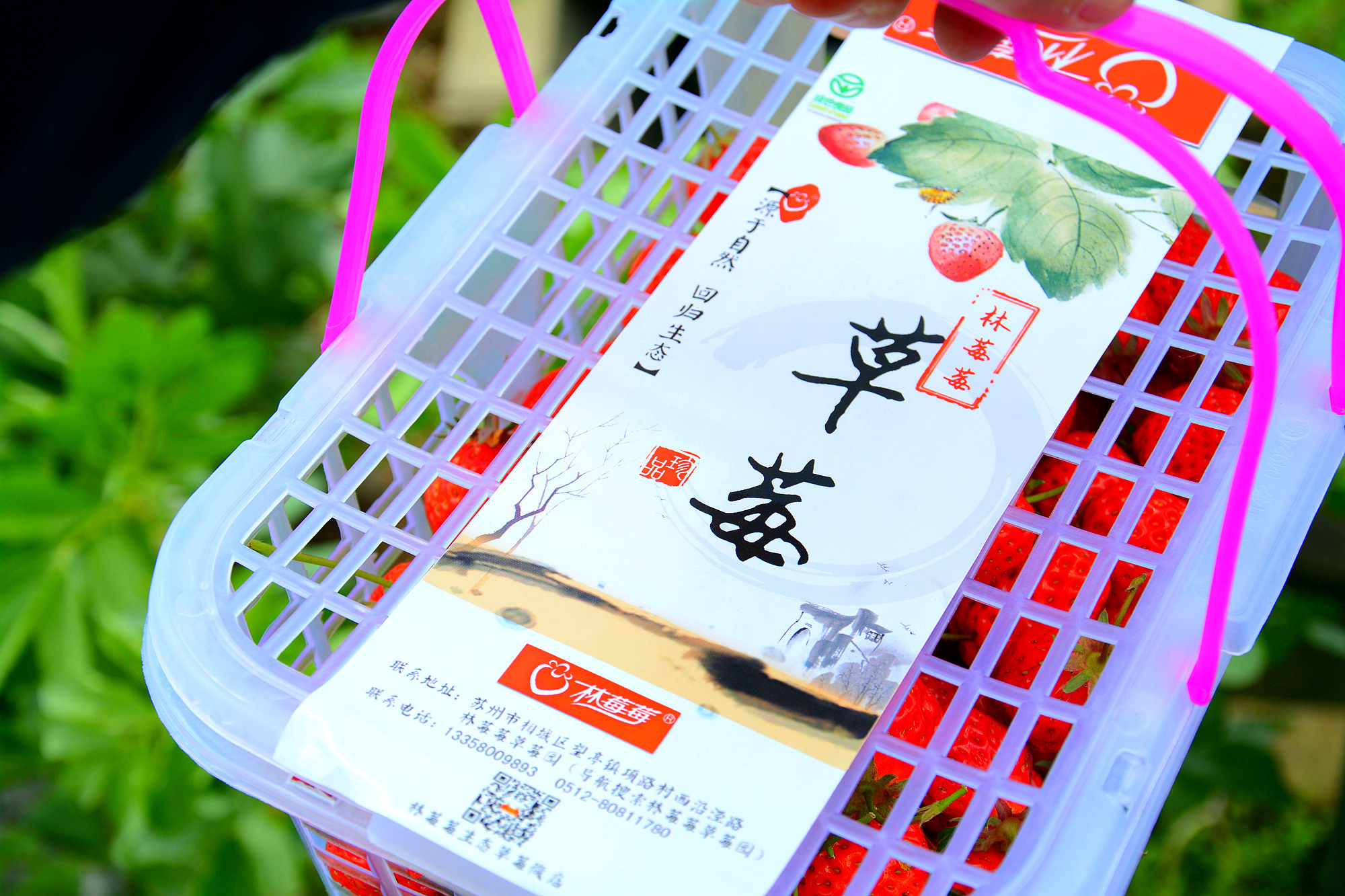 苏州的小桥流水在哪里,苏州比较不错的景点