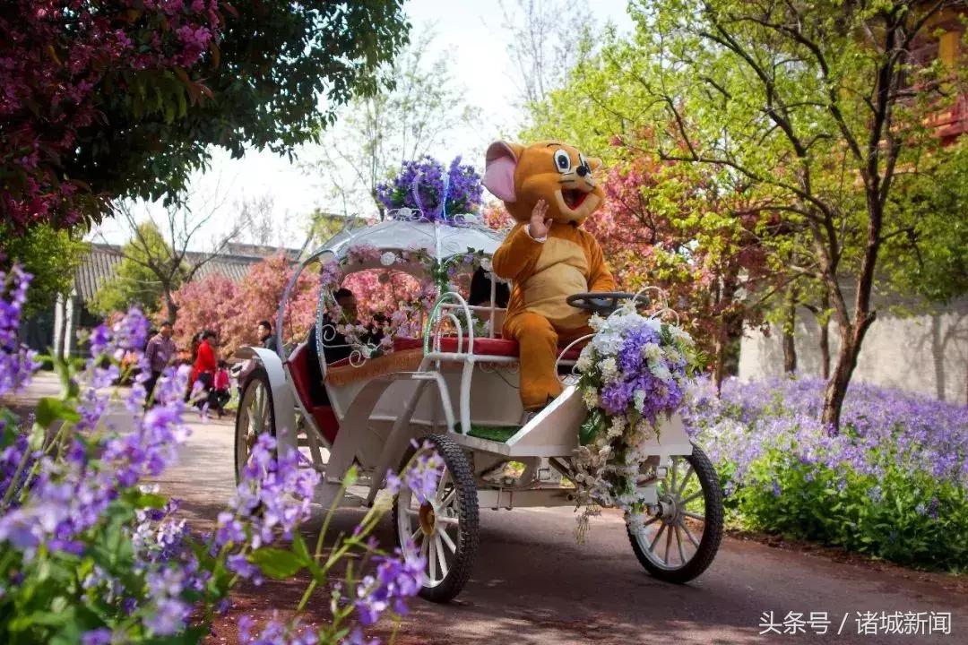 台儿庄古城免费政策包括哪些,台儿庄古城五区一市免费