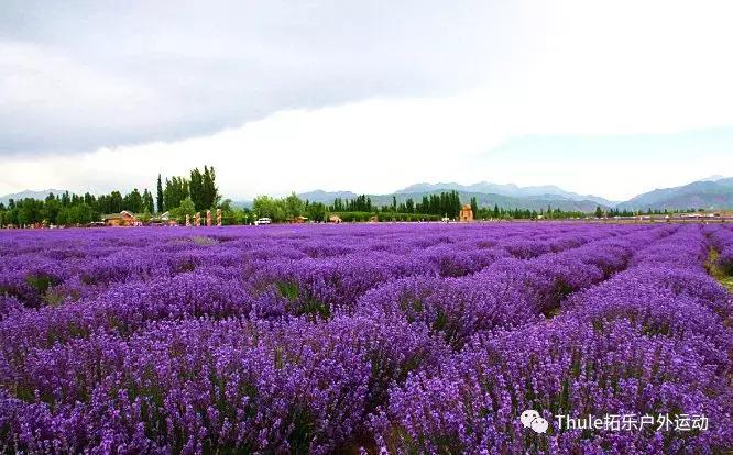 六月份适合旅游的地方,六月适合去哪里自驾游