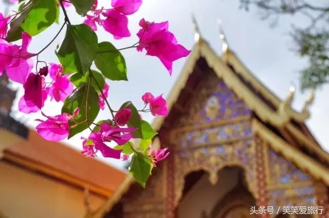 去清迈要做的60件事,去清迈