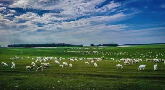 北京至内蒙古旅游坐什么火车,北京去内蒙古高铁旅游线路