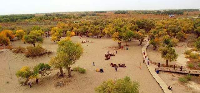 北京至内蒙古旅游坐什么火车,北京去内蒙古高铁旅游线路