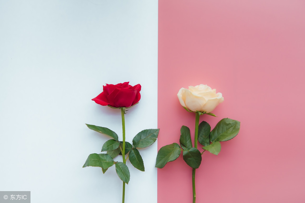 qq被拉入黑名单想联系怎么办,对方把你拉进黑名单怎么联系他