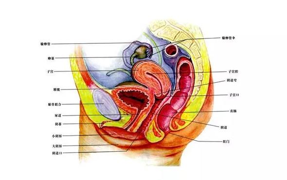 娌℃湁澶滅敓娲绘槸涓嶆槸灏变笉寰楀绉戠梾,浠庢潵娌℃湁濡囩鐥呮甯稿悧