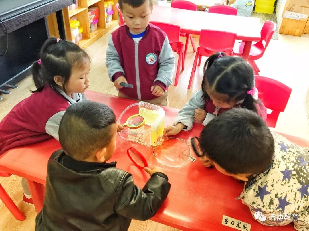 璇哄崥鏁欒偛,璇哄崥鏁欒偛鏈烘瀯