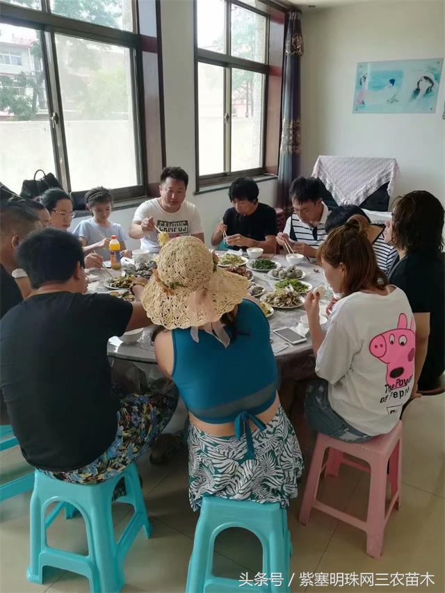 南戴河*哥涛**农家院（成杰宾馆）云烟天外黄金缕，渔火滩头绿酒家！