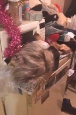 当看到19年吃了30个人的变态和多起女子被杀害的案件你会怎么做？