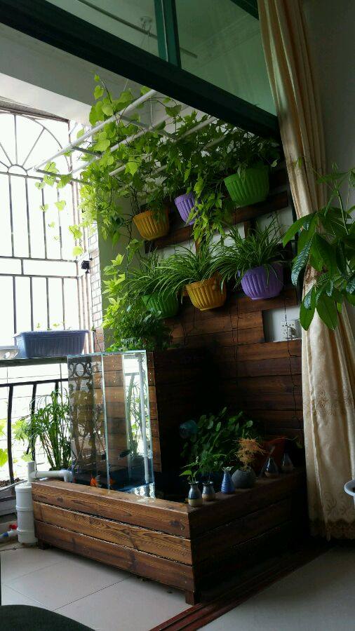 内蒙古阳台锦鲤鱼池,自制锦鲤观赏鱼池