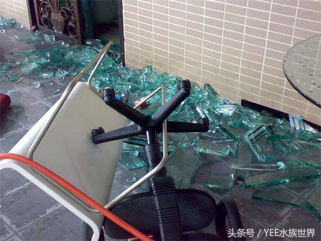 养鱼都会碰见爆缸吗,海缸爆缸期间可以养鱼吗