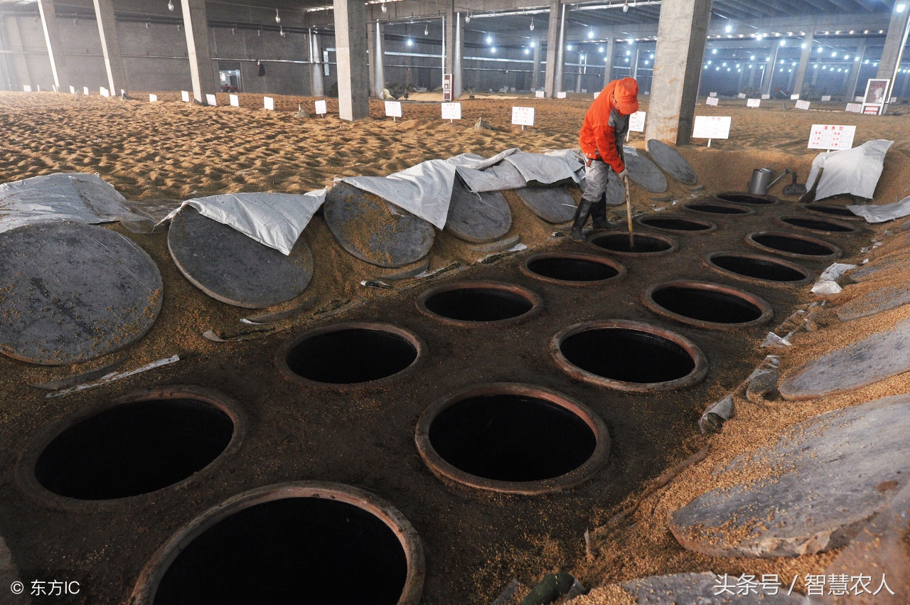 鸡粪发酵有机肥最简单的方法,鸡粪如何发酵有机肥