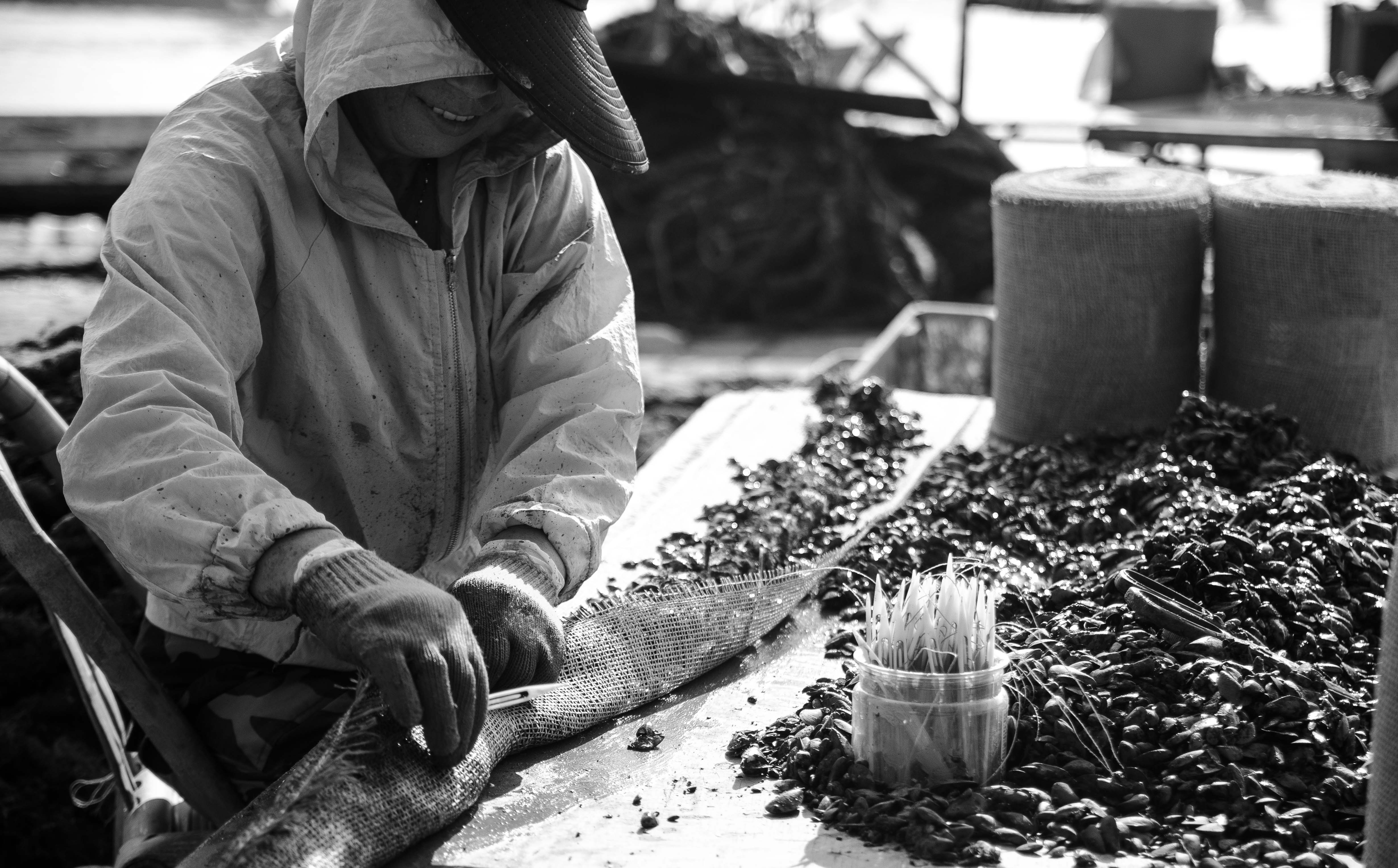 嵊山岛和枸杞岛住宿哪个好,嵊山中国最东岛屿
