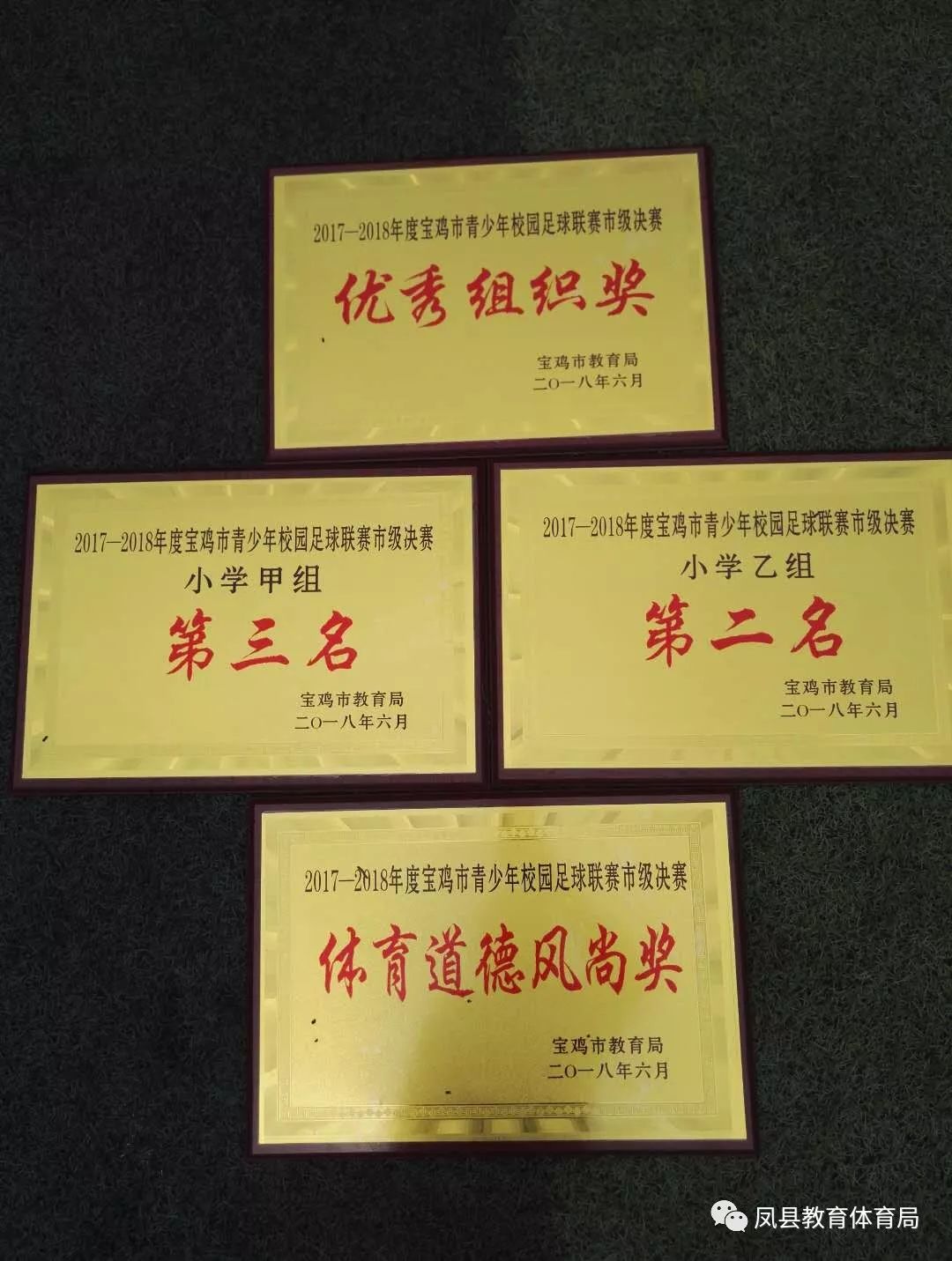 凤县小学生足球比赛,2024年宝鸡市青少年校园足球联赛