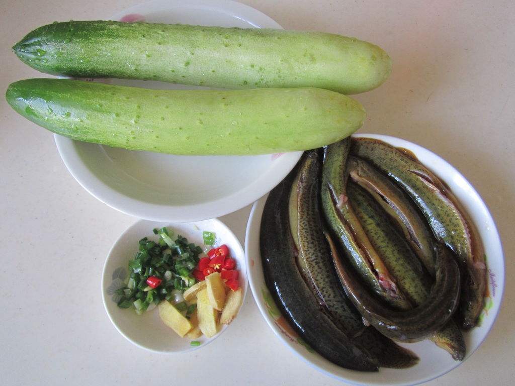 黄瓜炖泥鳅怎么做才好吃又简单,黄瓜与泥鳅能一块吃吗视频