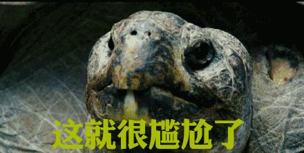 漫改超级英雄电影的新思路,忍者神龟2023年还会出什么新电影