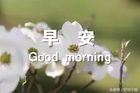 美好的早安祝福语微信集锦78句,早安祝福语简短早上好