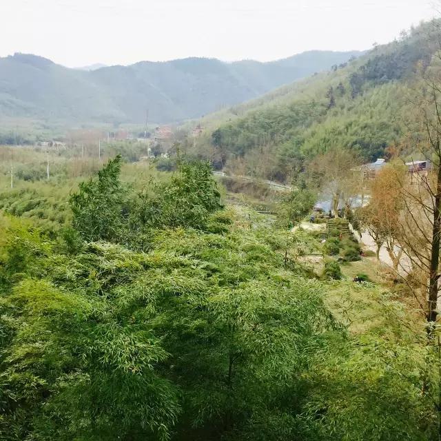 隐居山林依山傍水世外桃源,适合冬天去的民宿莫干山民宿