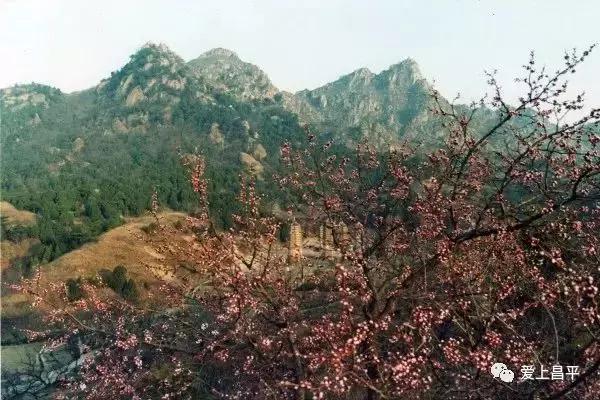 银山塔林冬天好玩吗,银山塔林四季景点