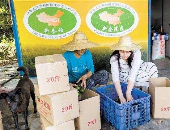 小青柑普洱茶如何辨别真假,小青柑普洱茶如何辨别