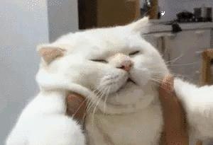 「时令」夏天午睡，起来又困又懵又烦？没做对这6件事，白睡还伤身！