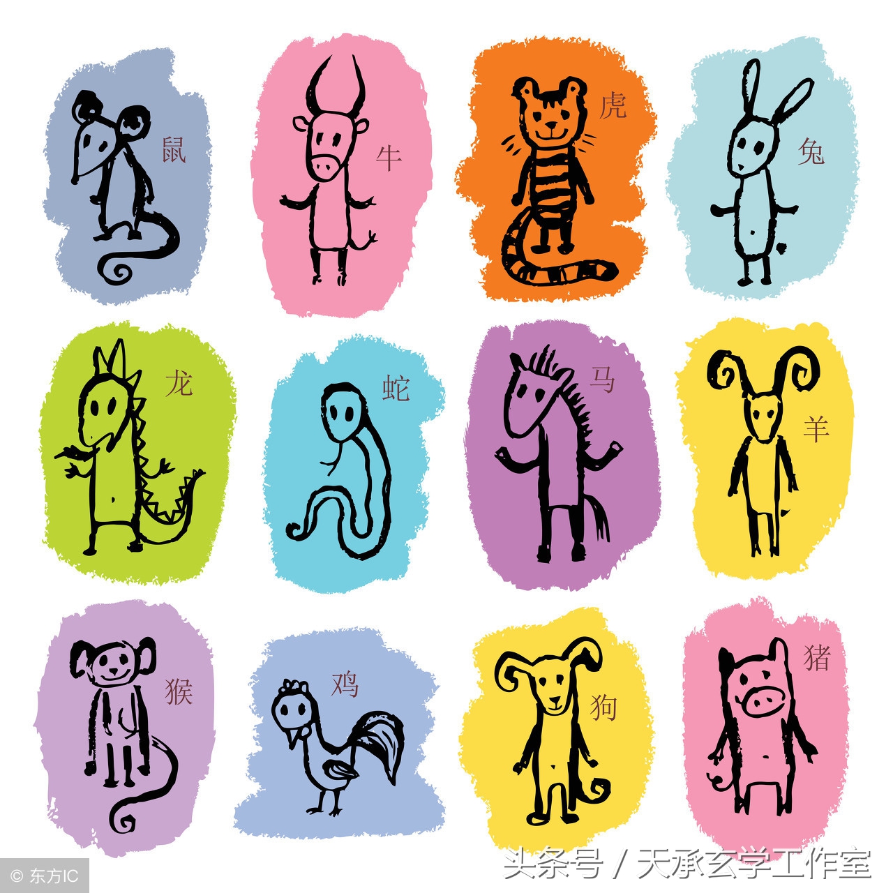 八字一冲一合代表什么生肖,生辰八字与自己生肖冲