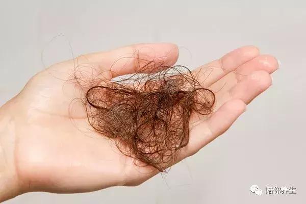 常吃什么对头发再生有好处,经常吃什么容易促进头发生长