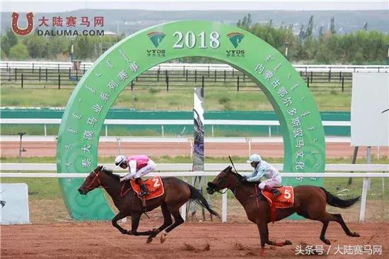 马术比赛纯血马,2018蒙古赛马传统耐力赛视频