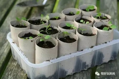 第31天：国外流行的31天不重复室内亲子游戏：卷纸筒游戏！