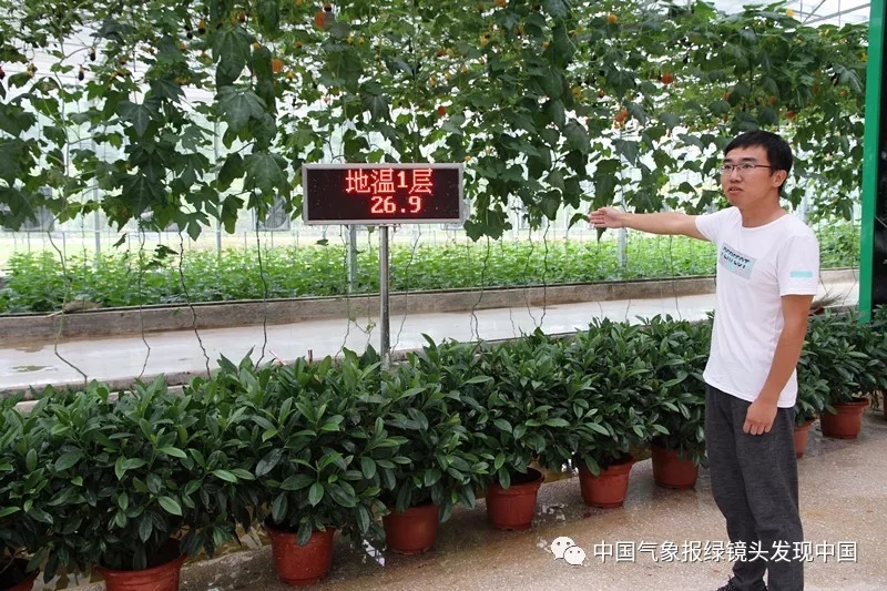 靠这些奇特“果果”也能致富？科技扶贫如有神助！