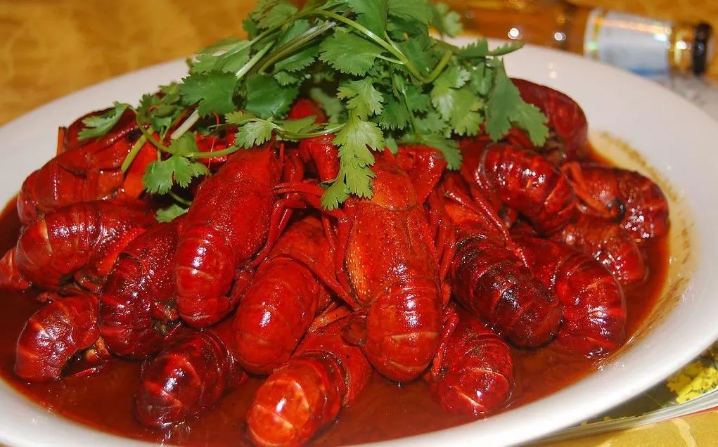 这个夏天只想“凉凉”！躲避炎热无需空调，快来曲江撒个欢儿~