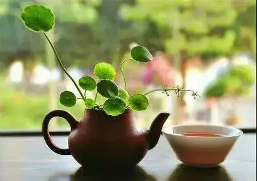 琉璃时光意思,时光琉璃系列